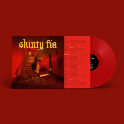 퐁텐 디씨 Fontaines D.C. - Skinty Fia (Red LP)