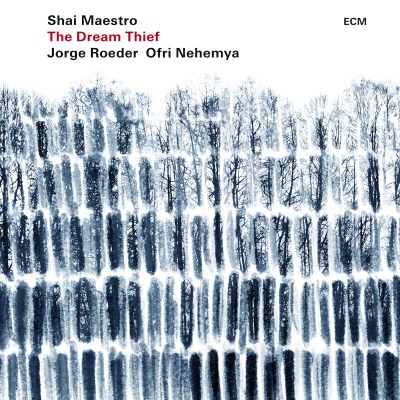 샤이 마에스트로 트리오 Shai Maestro Trio - The Dream Thief (LP)