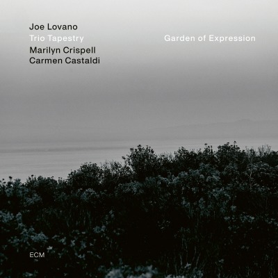 조 로바노 Joe Lovano - Garden of Expression (LP)