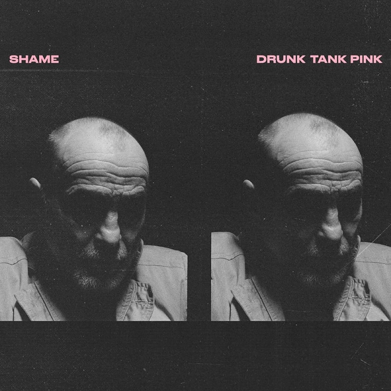 쉐임 Shame - Drunk Tank Pink (LP)